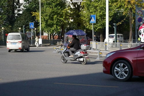寶興縣規(guī)范電動三輪與四輪車管理 上路需持證上牌，強(qiáng)化生產(chǎn)源頭治理