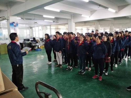 平頂山駐廠咨詢案例 BG電器通過(guò)攻關(guān)提升生產(chǎn)效率效果顯著